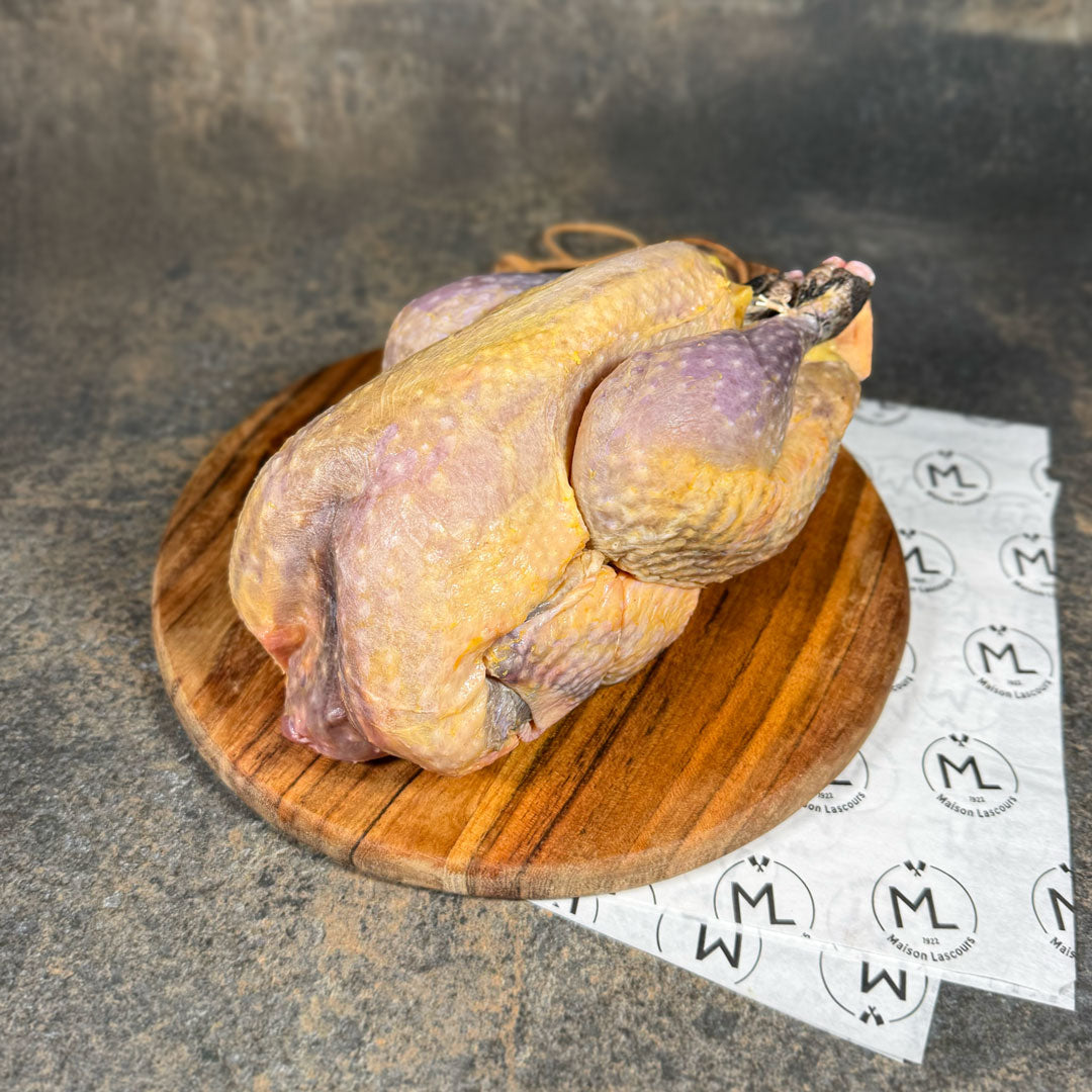 Pintade Fermière